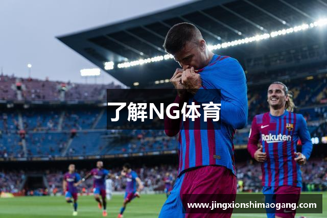 了解NG体育